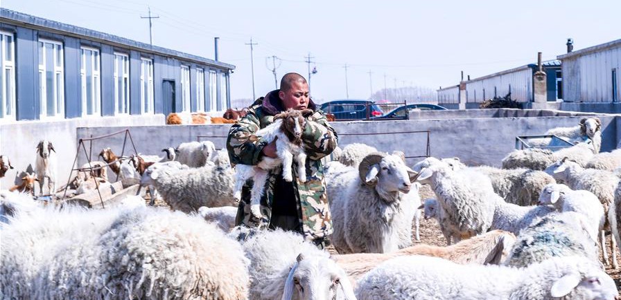 易地搬遷讓村民“住得好、能致富”