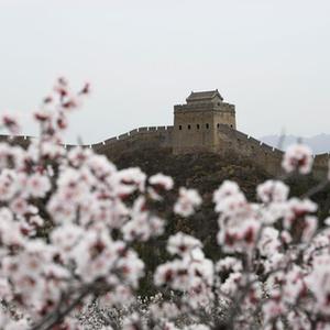 微信分享圖