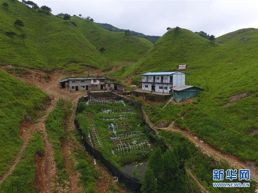 （新華全媒頭條·圖文互動）（3）一個(gè)人，一座山——劉真茂的生命守望