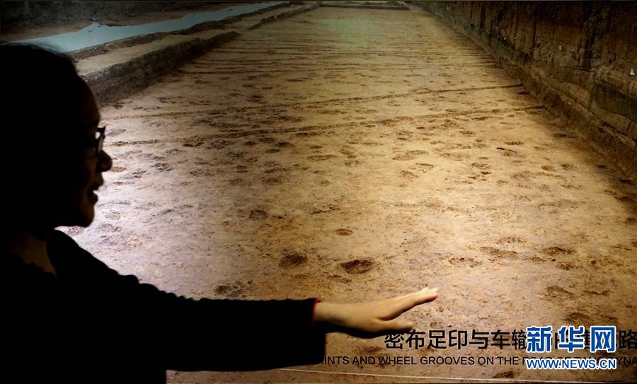 （新華全媒頭條·圖文互動(dòng)）（6）“若問古今興廢事，請(qǐng)君只看洛陽(yáng)城”——千年古都“烹制”博物館盛宴