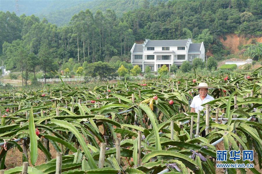 （在習(xí)近平新時(shí)代中國特色社會(huì)主義思想指引下——新時(shí)代新作為新篇章·總書記關(guān)心的百姓身邊事·圖文互動(dòng)）（6）大污染變身“大寶藏”：治理畜禽糞污，他們這樣干！