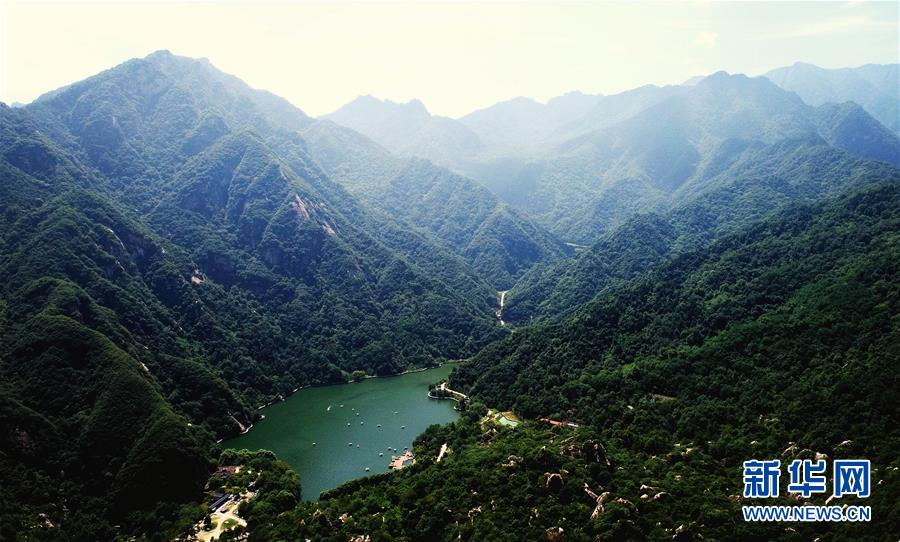 （新華全媒頭條·圖文互動）（4）綠色的啟示——西部地區(qū)生態(tài)問題典型個(gè)案再調(diào)查