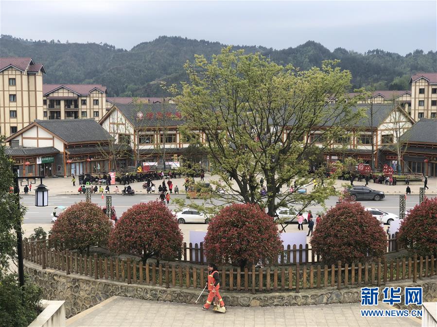（圖文互動(dòng)）（1）柏楊林的“樣板間”