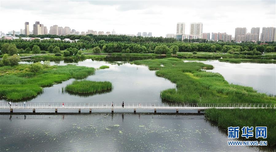 （走向我們的小康生活·圖文互動(dòng)）（1）水清、地綠、空氣新——最北省份黑龍江繪就生態(tài)治理新畫卷