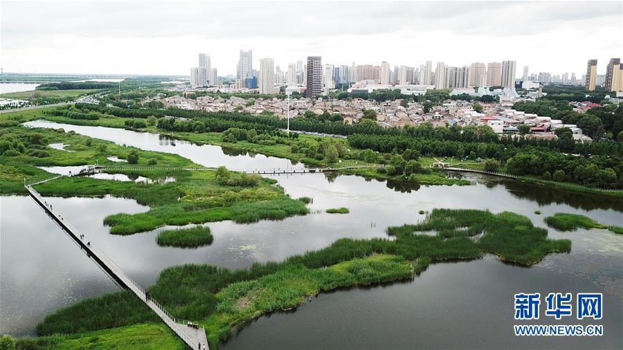 （走向我們的小康生活·圖文互動(dòng)）（2）水清、地綠、空氣新——最北省份黑龍江繪就生態(tài)治理新畫卷