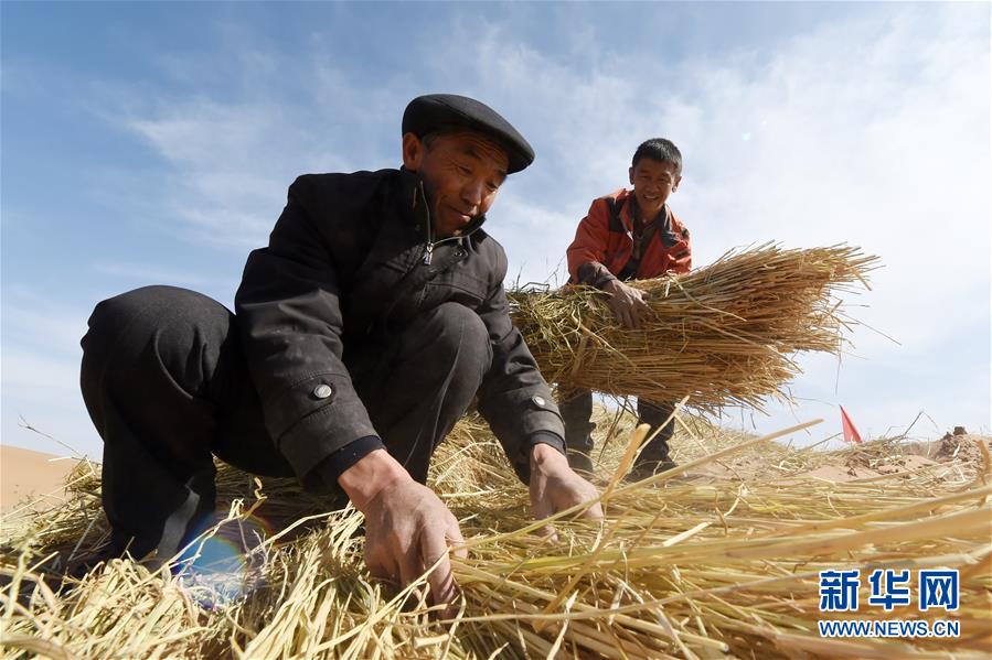 （在習(xí)近平新時代中國特色社會主義思想指引下——新時代新作為新篇章·習(xí)近平總書記關(guān)切事·圖文互動）（5）綠色映底蘊，山水見初心——生態(tài)優(yōu)先、綠色發(fā)展持續(xù)造福群眾美好生活
