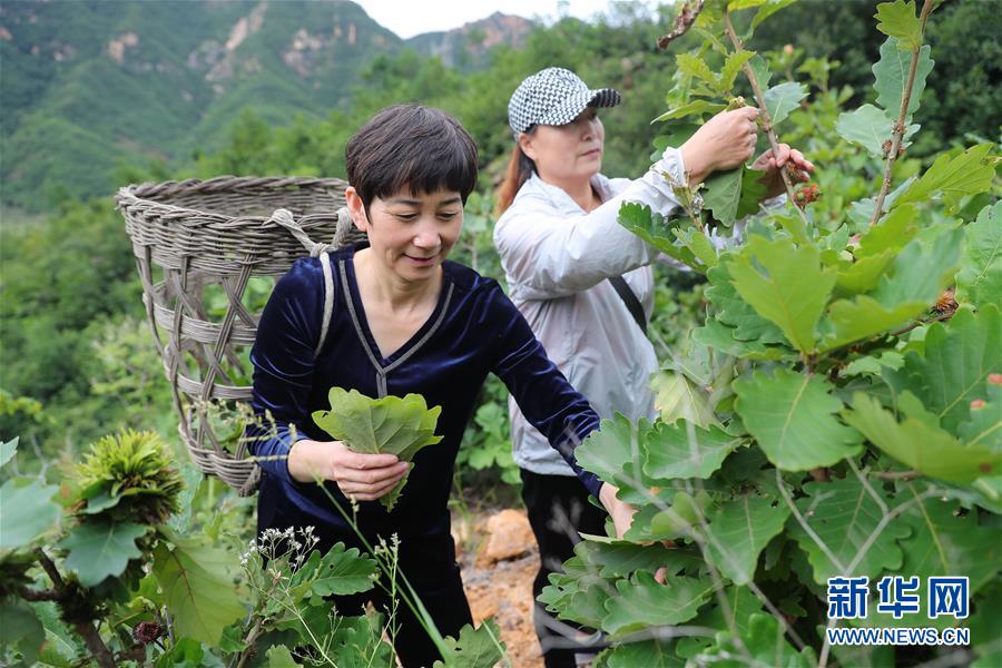 （新華全媒頭條·走向我們的小康生活·圖文互動(dòng)）（7）長(zhǎng)城腳下，小康村串成“珍珠鏈”
