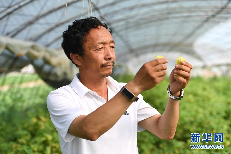 （新華全媒頭條·走向我們的小康生活·圖文互動）（7）黑土地上是我家——在吉林，一瞥中國東北鄉(xiāng)村美麗未來