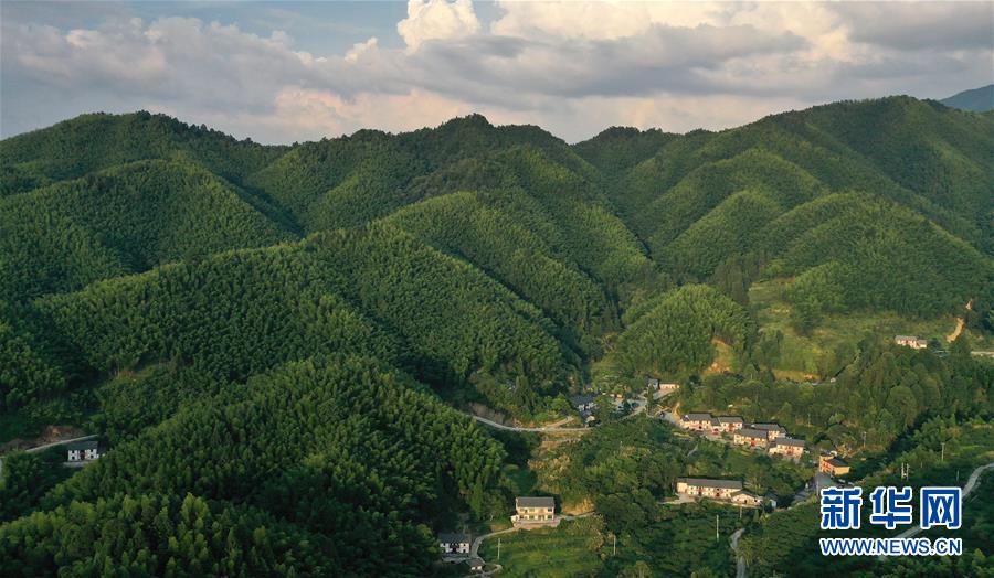 （新華全媒頭條·走向我們的小康生活·圖文互動(dòng)）（2）神山村“神奇”何在？——井岡山深處覓答案