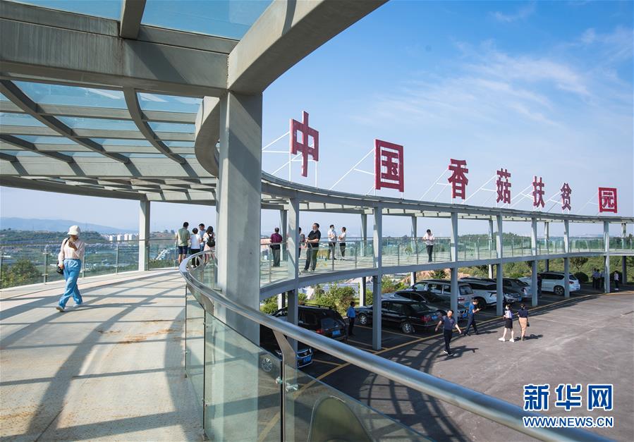 （新華全媒頭條·走向我們的小康生活·圖文互動(dòng)）（2）特殊之年，荊楚大地書寫不平凡的答卷