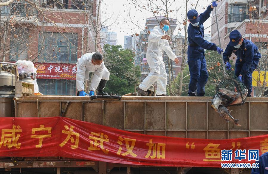 （新華全媒頭條·圖文互動）（12）從人民中汲取磅礴力量——習(xí)近平總書記同出席2020年全國兩會人大代表、政協(xié)委員共商國是紀(jì)實(shí)