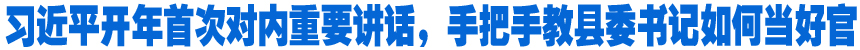 習(xí)近平開年首次對內(nèi)重要講話，手把手教縣委書記如何當(dāng)好官