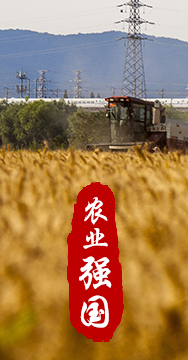農業(yè)強國是社會主義現(xiàn)代化強國的根基。