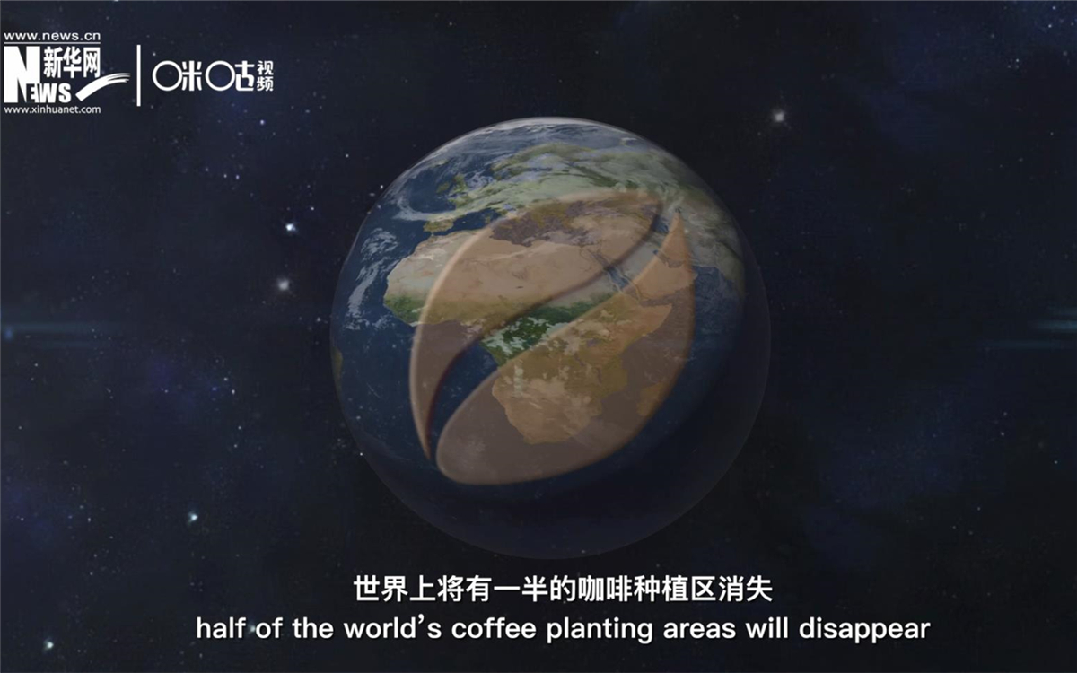 科學(xué)家預(yù)測(cè)到三十年后，世界上將有一半的咖啡種植區(qū)消失