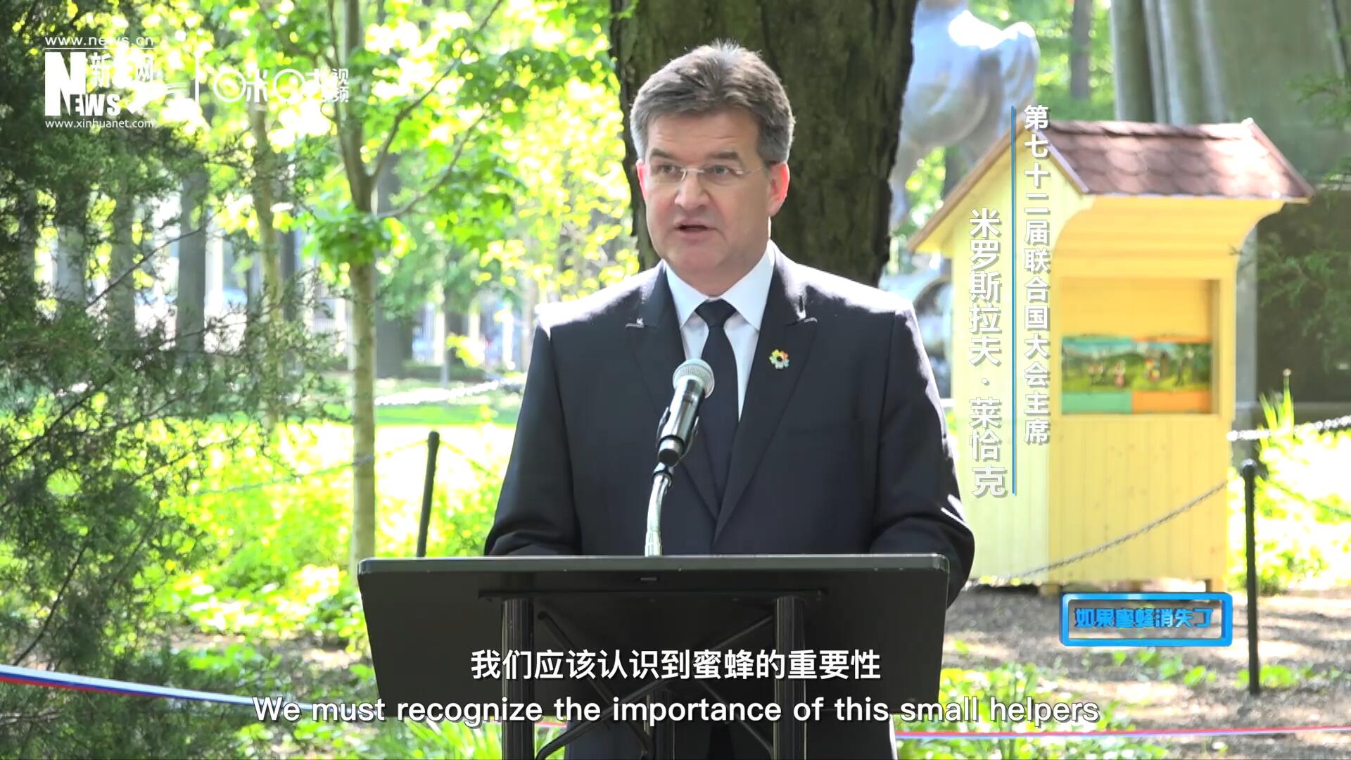 我們應(yīng)該認(rèn)識到蜜蜂的重要性，所以我們用“世界蜜蜂日”提高大家保護(hù)蜜蜂的意識，并且用實際行動去保護(hù)蜜蜂