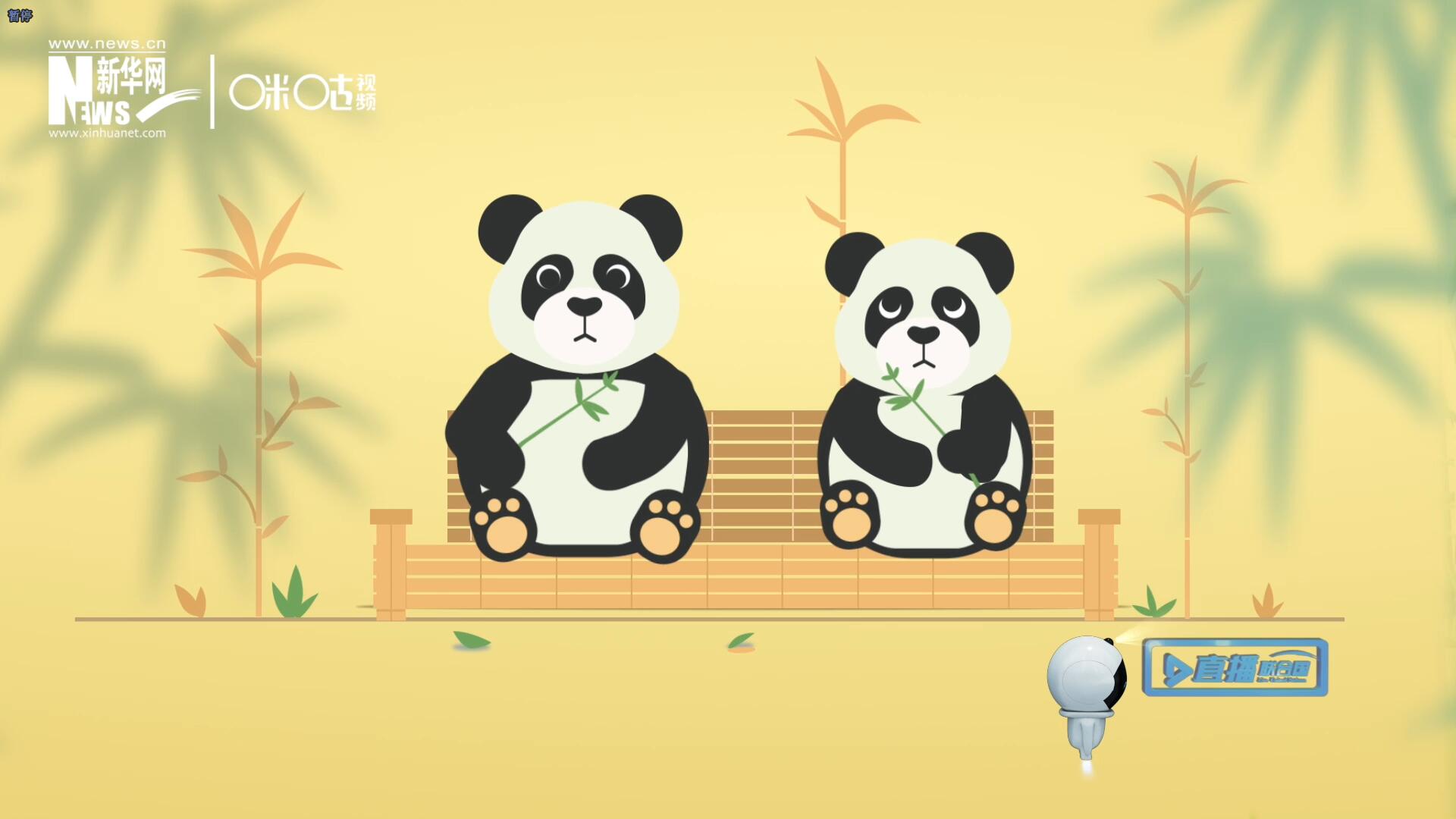 “哥哥你看，又有人來看我們了。”“有什么奇怪的，我們可是聯(lián)合國‘最萌’的大使??！”。