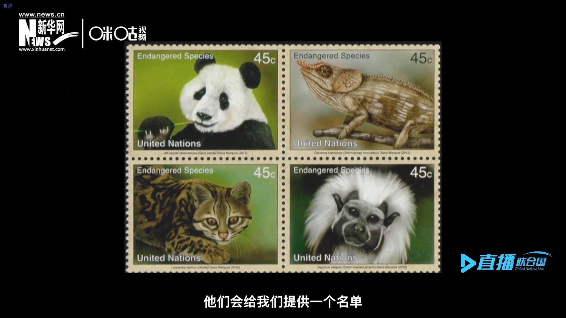 CITES（瀕危野生動(dòng)植物種國際貿(mào)易公約）會(huì)給聯(lián)合國郵政設(shè)計(jì)師提供一個(gè)名單，雙方共同合作在附錄中找到名單中應(yīng)該受到關(guān)注的動(dòng)物。