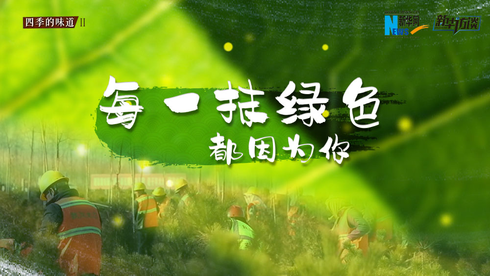 千年秀林，每一抹綠色都因?yàn)槟? /></p>
<p class=