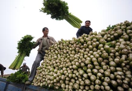 劉永富：發(fā)展產(chǎn)業(yè)脫貧仍是精準扶貧、精準脫貧主攻方向