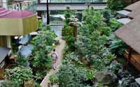 震撼！日本最豪華的廁所（組圖）