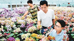 臺商眼中的改革開放：風(fēng)景這邊獨(dú)好 要去，要去，要去！