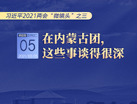 習近平2021兩會“微鏡頭”之三 3月5日 在內蒙古團，這些事談得很深