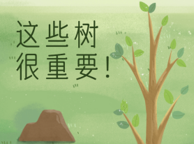 這些樹(shù)很重要！