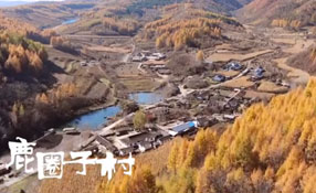 探秘關(guān)東人家，畫一個童話里的秋天